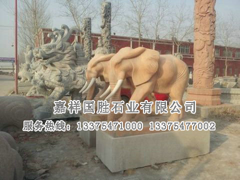 點擊查看詳細信息<br>標題：大象 閱讀次數(shù)：2560