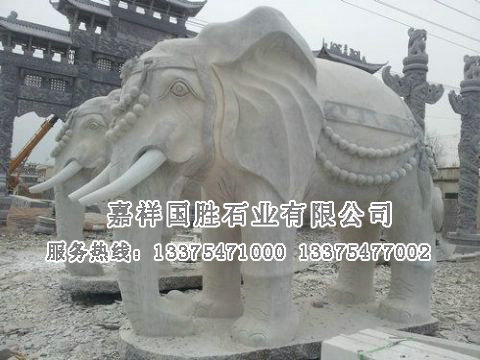點擊查看詳細信息<br>標題：大象 閱讀次數(shù)：2711
