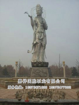 點擊查看詳細(xì)信息<br>標(biāo)題：滴水觀音 閱讀次數(shù)：2755