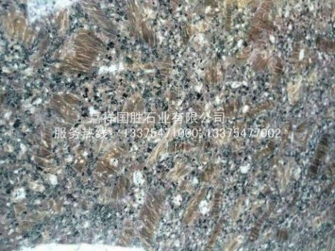 點擊查看詳細信息<br>標題：黑棕 閱讀次數(shù)：2255
